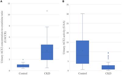 Urinary angiotensin-converting enzyme 2 and its activity in cats with chronic kidney disease